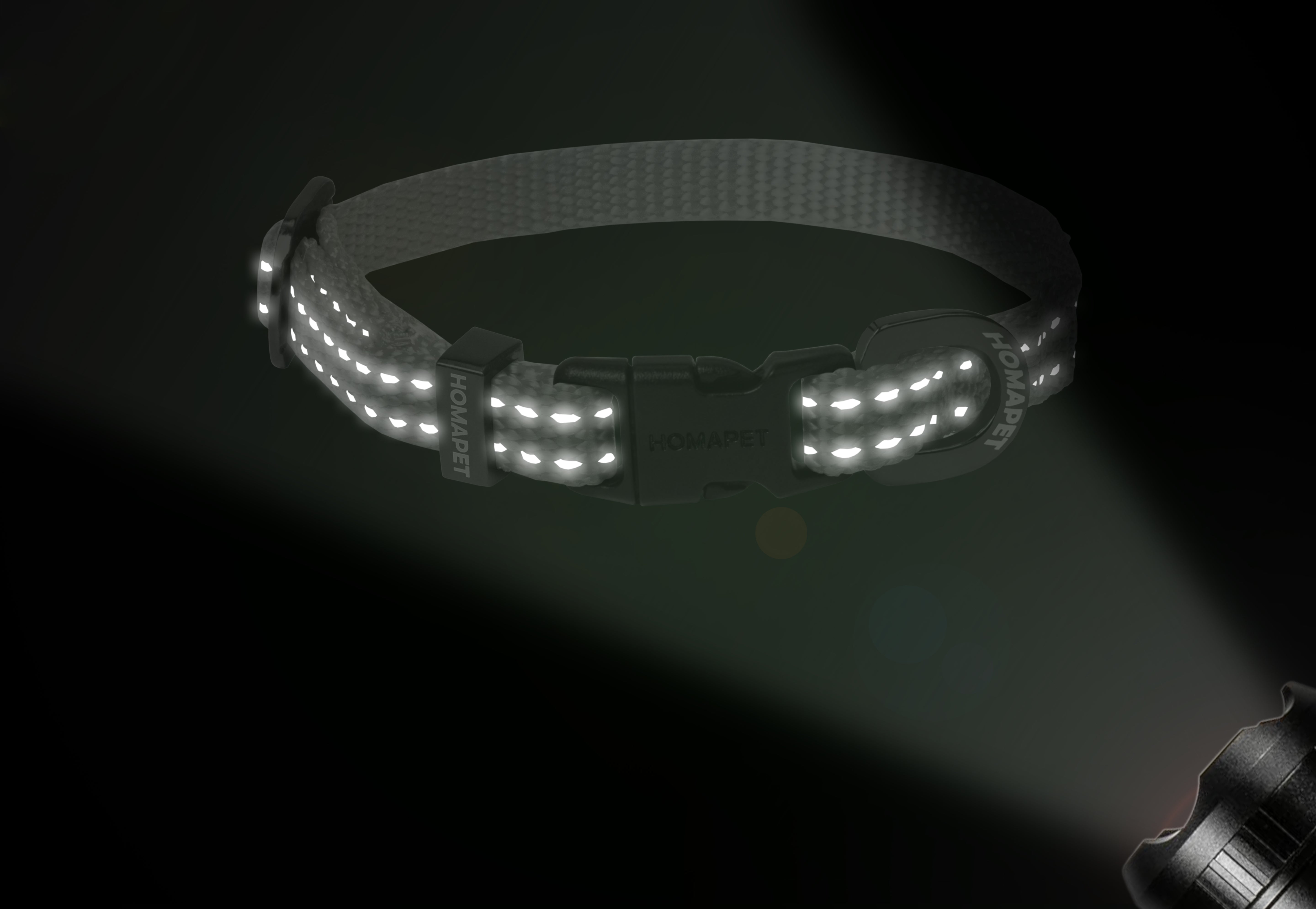 Light Grey Nylon Dog Collar