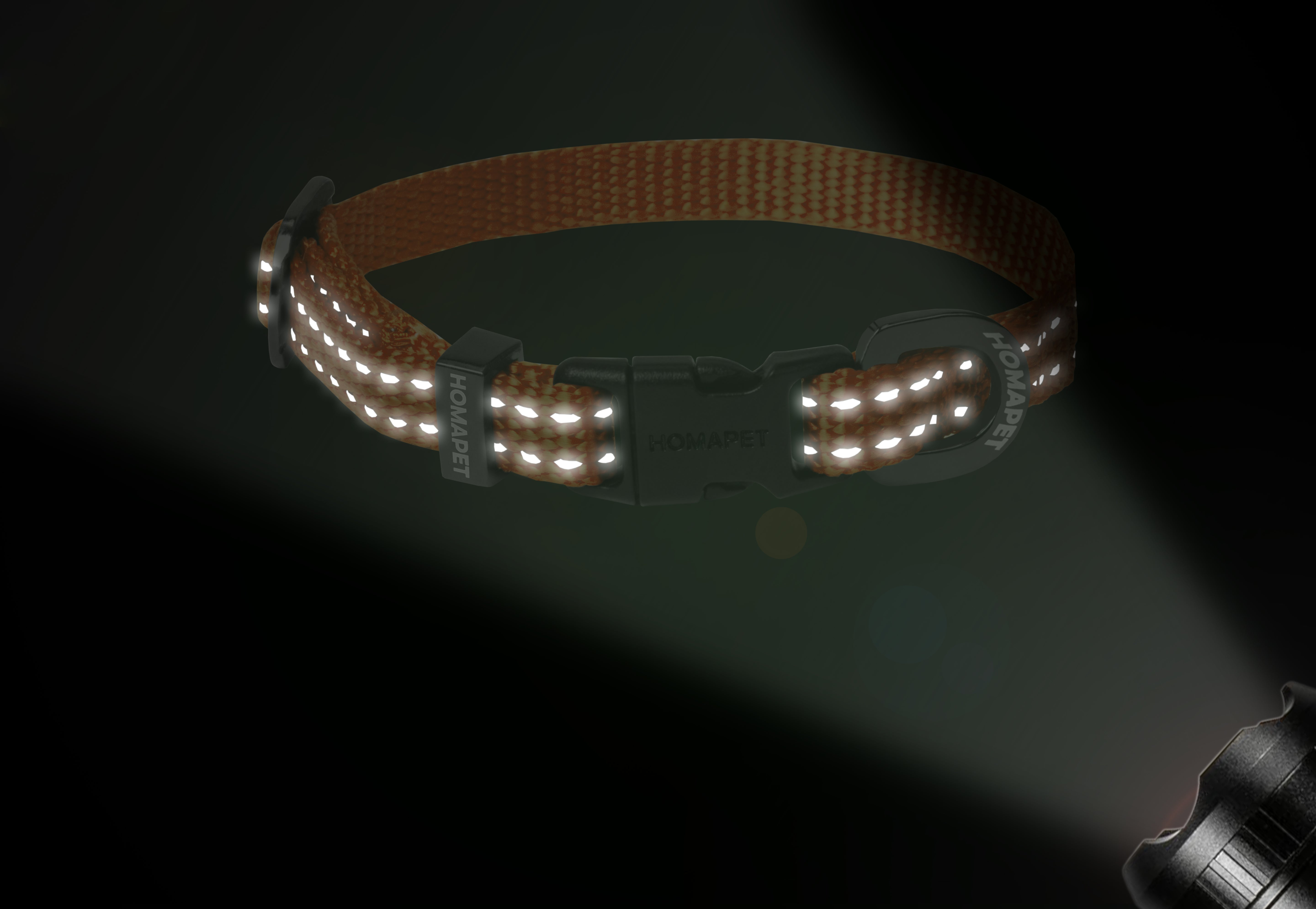 Orange Nylon Dog Collar