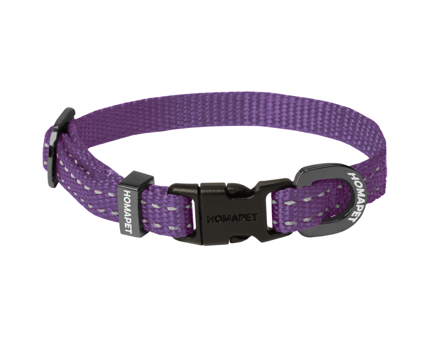 Violet Nylon Dog Collar