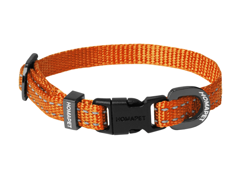 Orange Nylon Dog Collar
