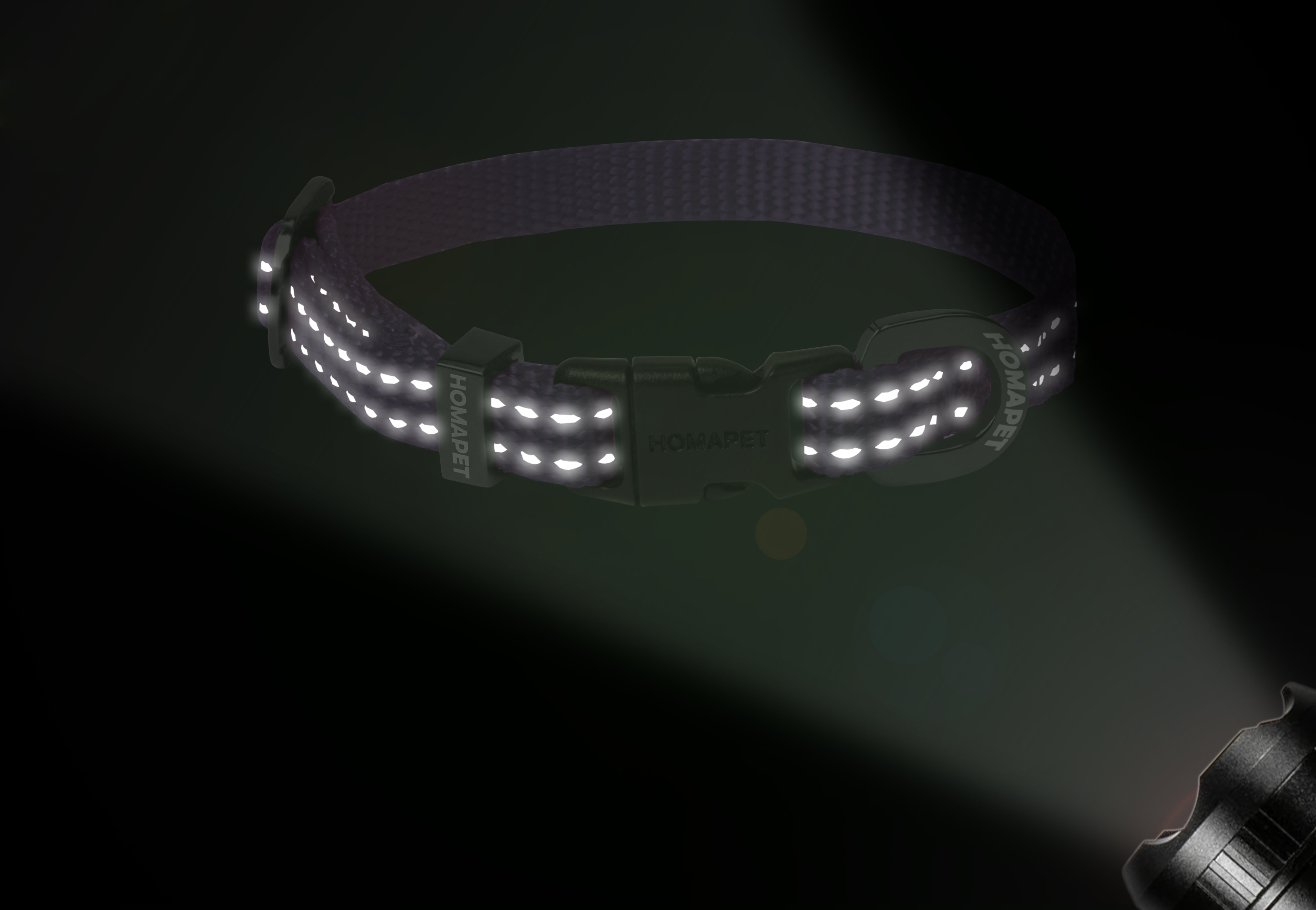 Violet Nylon Dog Collar